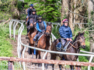 EL160424-16 - Emma Lavelle stable visit